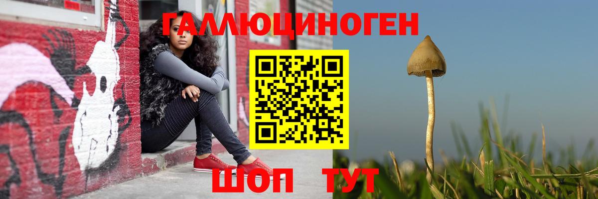 Псилоцибиновые грибы ЛСД Краснознаменск