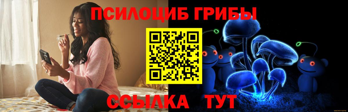 Краснознаменск  Псилоцибиновые грибы Psilocybine cubensis  Вход с VPN 